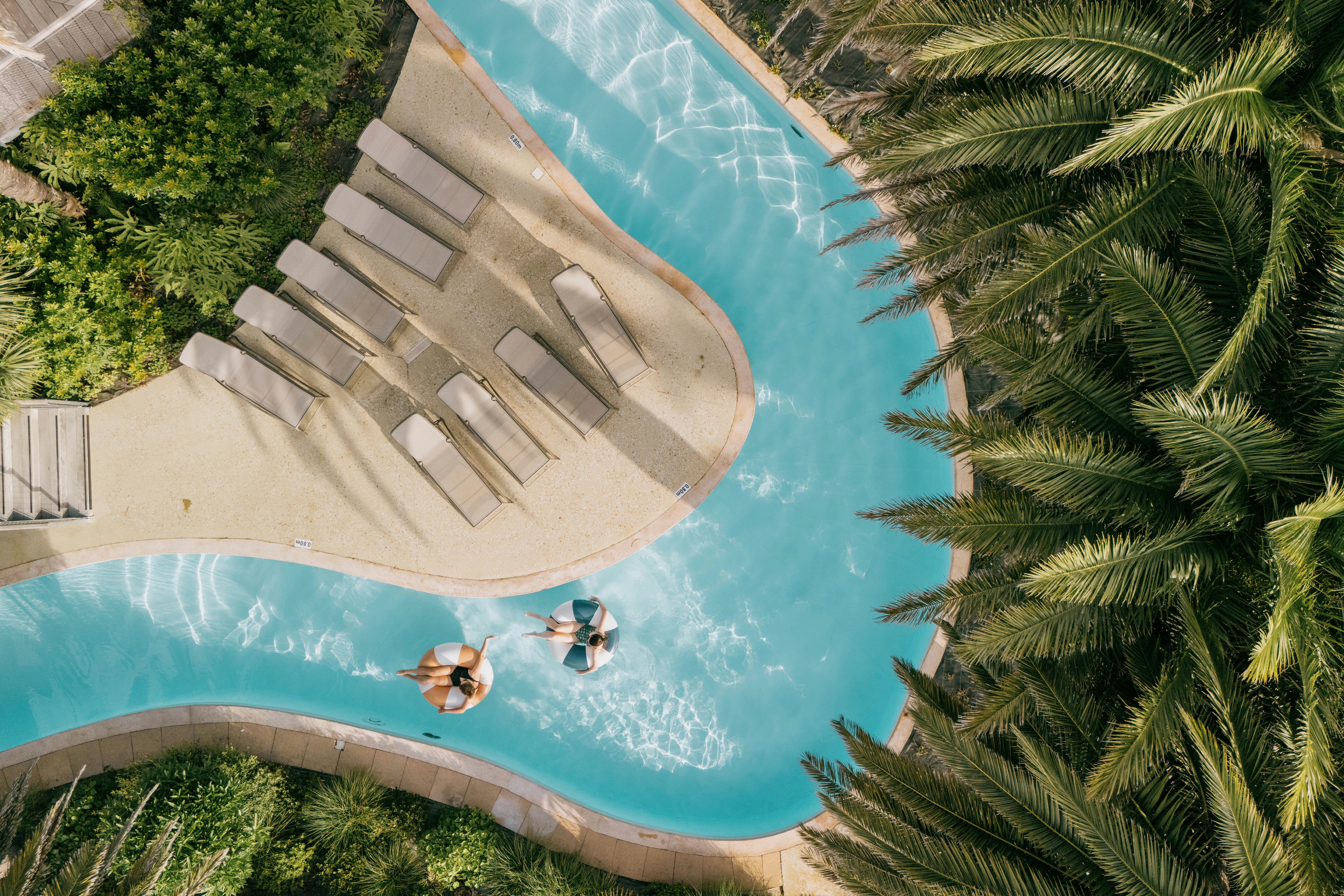 Blauer Pool mit Treppen und Liegen, umgeben von Palmen und Grün, Luftaufnahme von oben.