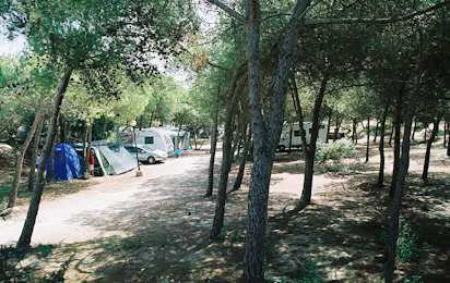 Camping Village Li Nibari