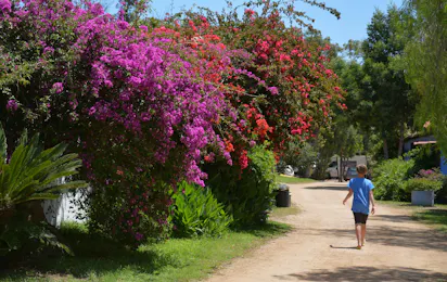 Camping Village Orri