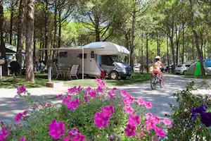 Camping Village Scarpiland - Wohnwagen- und Zeltstellplatz vom Campingplatz zwischen Bäumen und einem Kind auf Fahrrad