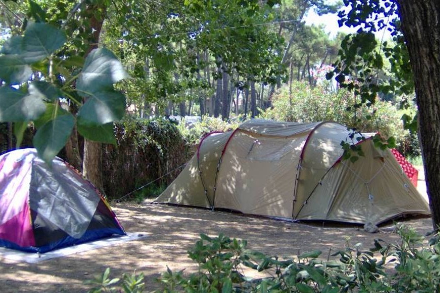 Camping Village Settebello  -  Zeltstellplätze im Schatten auf dem Campingplatz