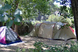 Camping Village Settebello - Zeltstellplätze im Schatten auf dem Campingplatz