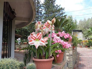 Camping Village Soleado