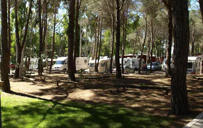Village Camping Spinnaker