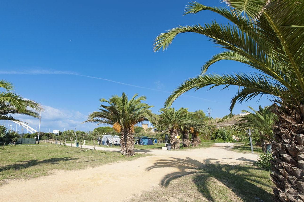 Camping Village Sporting Club  -  Wohnwagen- und Zeltstellplatz vom Campingplatz zwischen Palmen