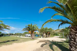 Camping Village Sporting Club - Wohnwagen- und Zeltstellplatz vom Campingplatz zwischen Palmen