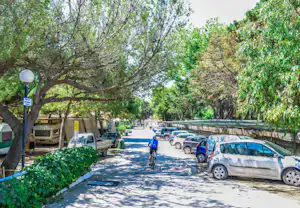 Campingplatz-Straße mit geparkten Autos und Wohnwagen, schattige Bäume und Hecken entlang des Weges.
