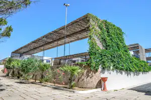 Überdachte Pergola mit Weinreben an einer Steinmauer, gepflasterter Weg und Zierpflanzen auf dem Campingplatz.