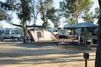 Camping Village Tiliguerta  -  Wohnwagen- und Zeltstellplatz zwischen Bäumen auf dem Campingplatz