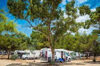 Camping Village Tiliguerta  - Wohnwagen- und Zeltstellplatz von Bäumen umgeben