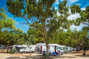 Camping Village Tiliguerta - Wohnwagen- und Zeltstellplatz von Bäumen umgeben