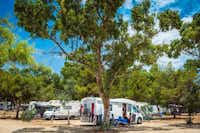 Camping Village Tiliguerta  - Wohnwagen- und Zeltstellplatz von Bäumen umgeben