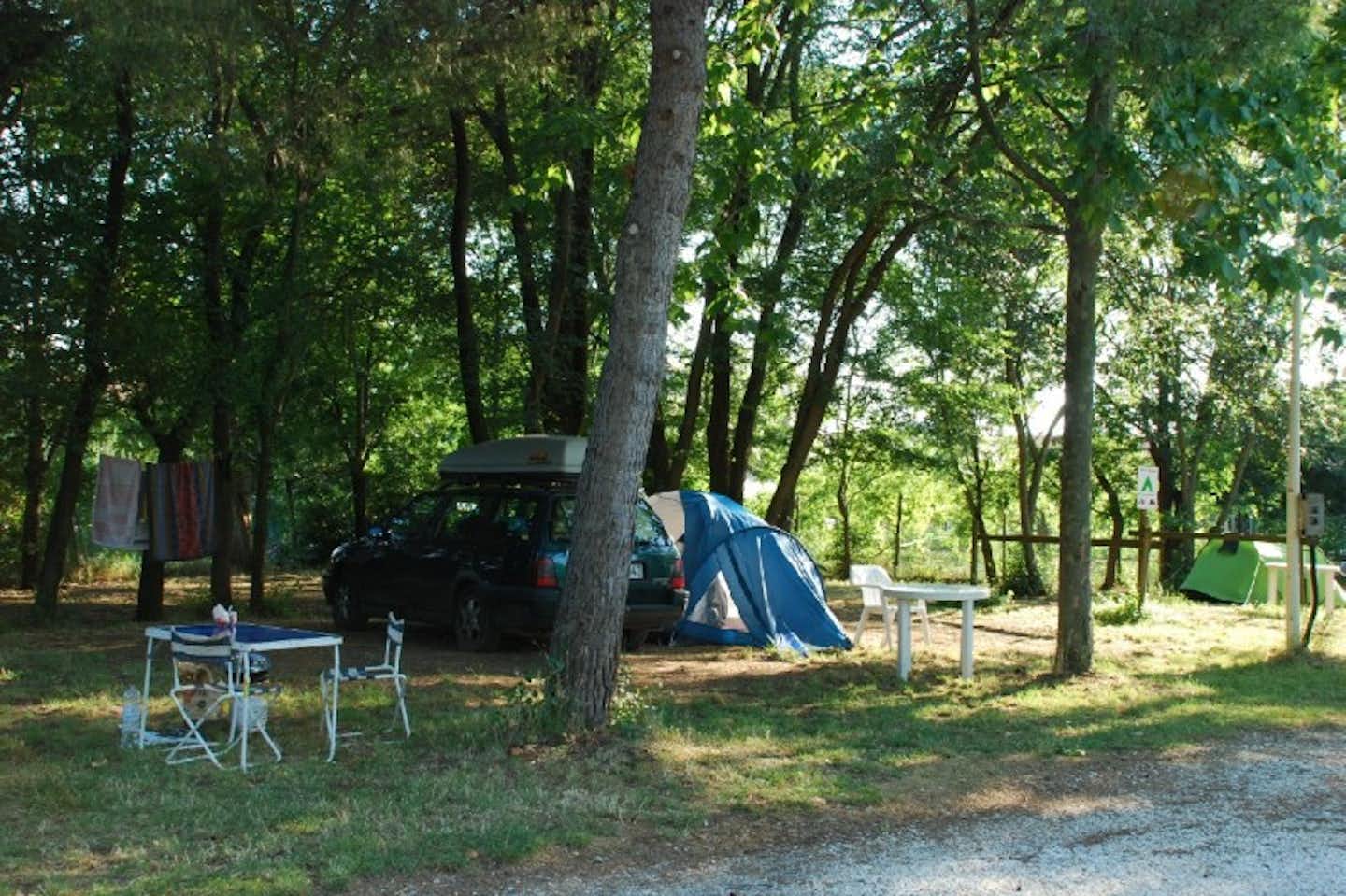 Camping Village Torre Pendente - Wohnwagen- und Zeltstellplatz unter Bäumen auf dem Campingplatz