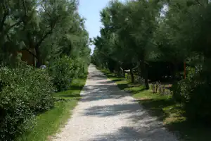 Camping Village Torre Rinalda - Wohnwagen- und Zeltstellplatz im Grünen auf dem Campingplatz