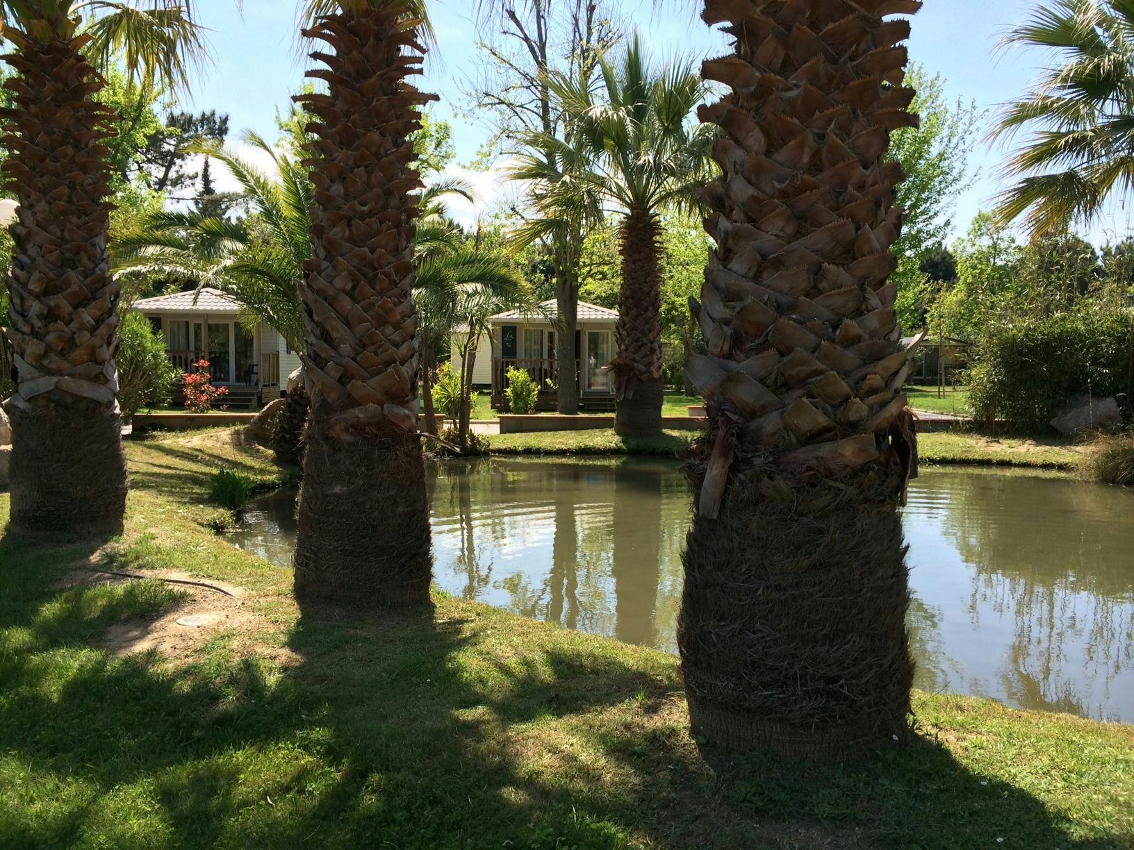 Camping Village Vacances Le Méditerranée