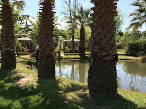 Camping Village Vacances Le Méditerranée