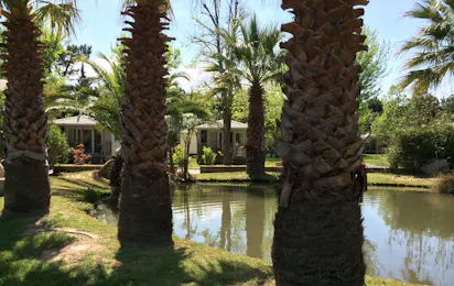 Camping Village Vacances Le Méditerranée