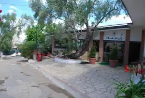 Gebäude am Campingplatz mit Eingang, Pflanzkübeln und Olivenbäumen entlang des gepflasterten Wegs.