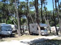 Camping Villaggio del Sole - Wohnwagenstellplätze im Schatten der Bäume auf dem Campingplatz