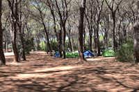 Camping Villaggio Le Marze  -  Zeltplatz vom Campingplatz im Schatten von Bäumen
