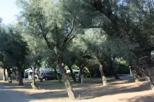 Camping Villaggio Molise - Wohnwagen- und Zeltstellplatz zwischen Bäumen