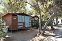 Camping Villaggio Pineta al Mare  -  Mobilheim zwischen Bäumen auf dem Campingplatz