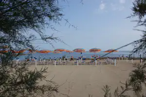 Strand mit Reihen von Liegestühlen und Sonnenschirmen, Sandweg zum Meer, im Vordergrund Zweige und Bäume.