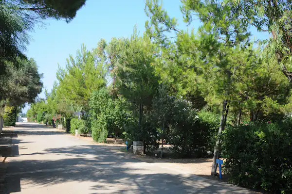 Camping Villaggio Pineta al Mare