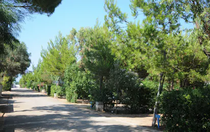 Camping Villaggio Pineta al Mare