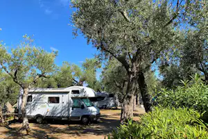 Camping Village Santa Fortunata - Wohnmobil- und Wohnwagenstellplätze im Schatten der Bäume
