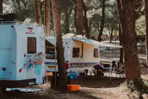 Wohnwagen und Campingbusse auf einem Stellplatz im Wald, zwischen hohen Bäumen, mit Tisch und Stühlen am Rand.