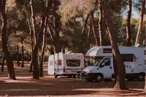 Wohnmobile und ein Wohnwagen stehen auf einem Campingplatz zwischen hohen Bäumen, mit Stellplätzen und einem kleinen Tisch.