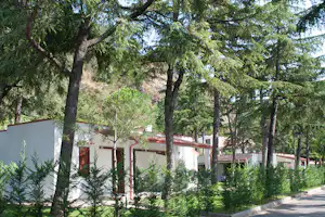 Camping Villaggio Turistico la Mantinera - Mobilheime vom Campingplatz zwischen Bäumen