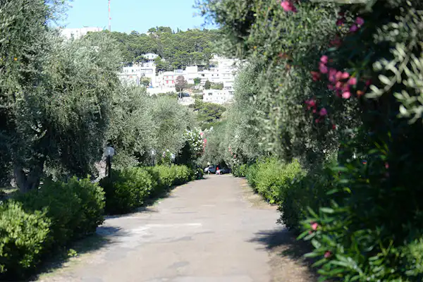 Camping Village Parco degli Ulivi