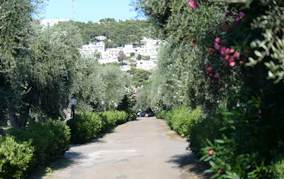 Camping Village Parco degli Ulivi