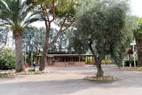 Camping Villaggio Turistico Parco degli Ulivi - Einfahrt vom Campingplatz und Rezeption