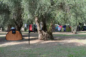 Zelt auf einem Campingplatz zwischen Bäumen, Wäscheleine mit bunten Tüchern und ein Auto am Rand des Platzes.