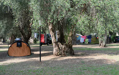 Camping Village Parco degli Ulivi