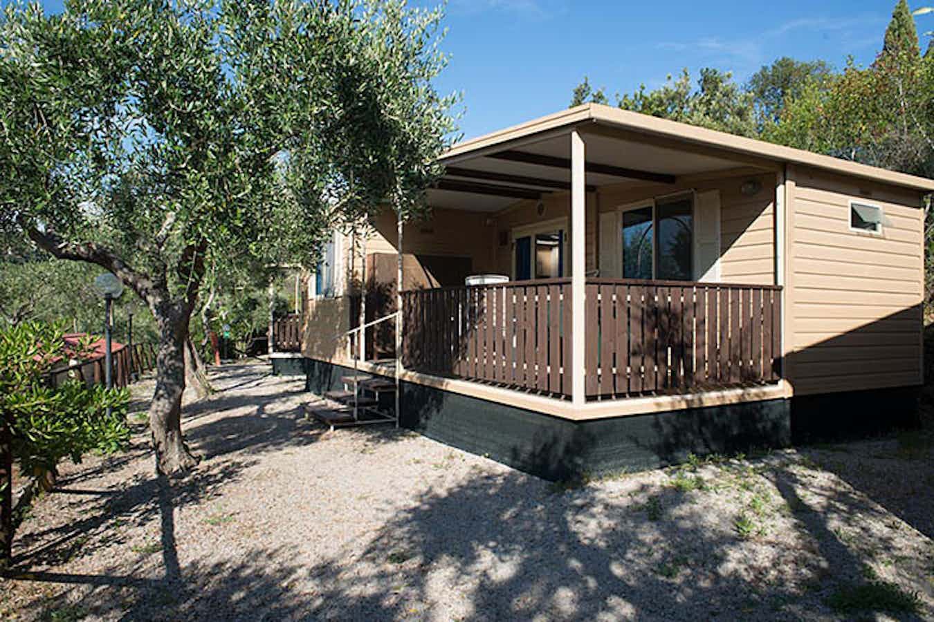 Camping Elba Mit Hund