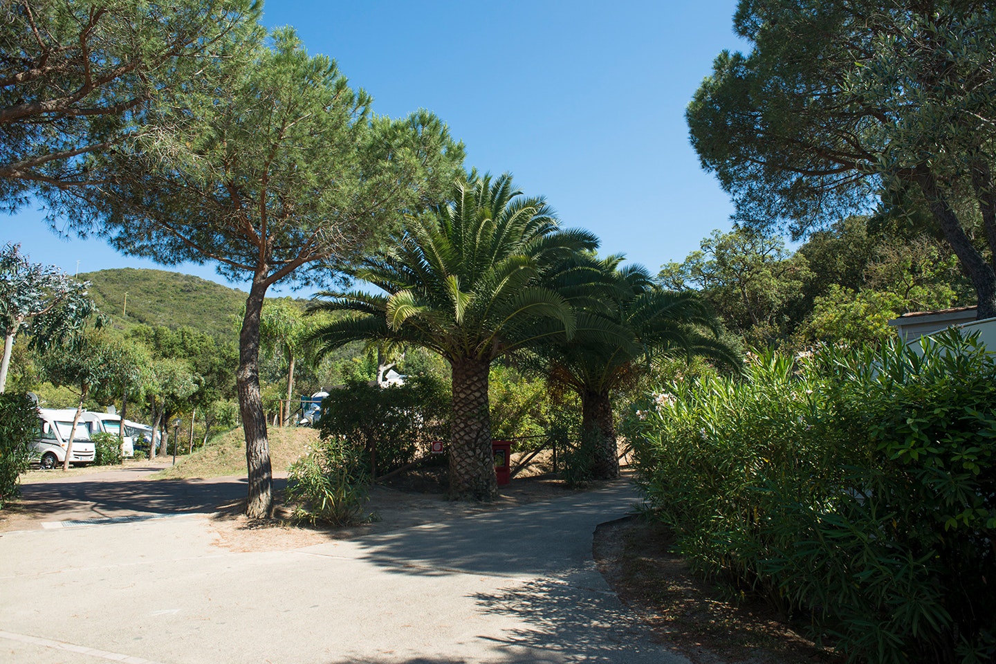 Camping Ville degli Ulivi - Wohnmobil- und  Wohnwagenstellplätze im Schatten der Bäume