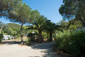 Camping Ville degli Ulivi - Wohnmobil- und Wohnwagenstellplätze im Schatten der Bäume