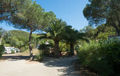 Camping Ville degli Ulivi