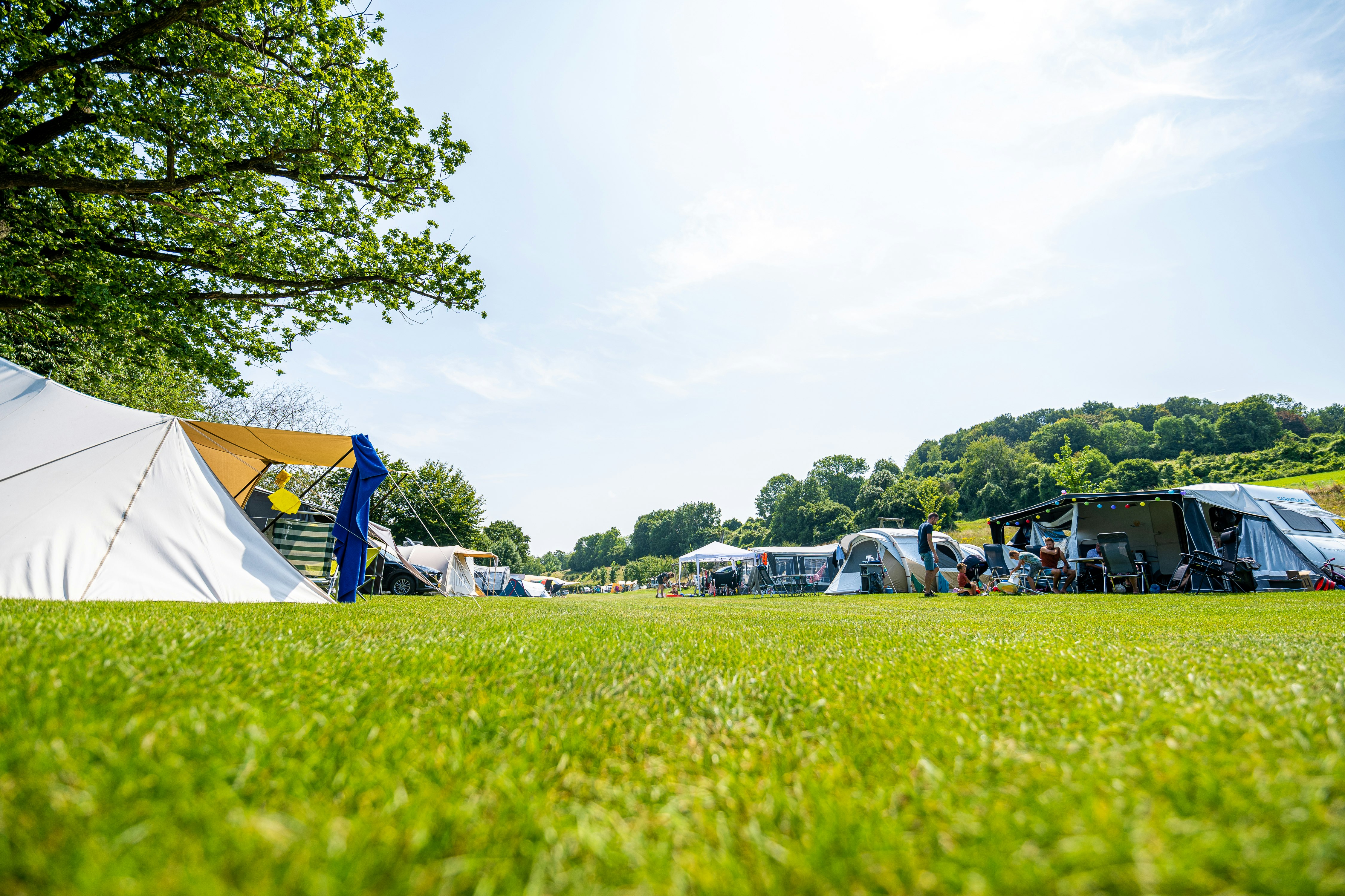 Camping Vinkenhof Keutenberg - Stellplätze auf der Wiese