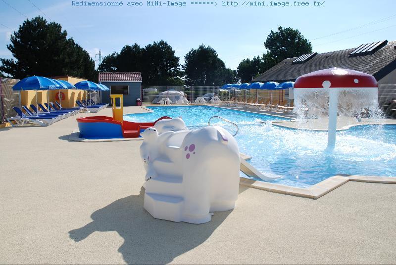 Flower Camping Vitamin.