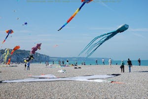 Flower Camping Vitamin