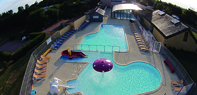 Flower Camping Vitamin