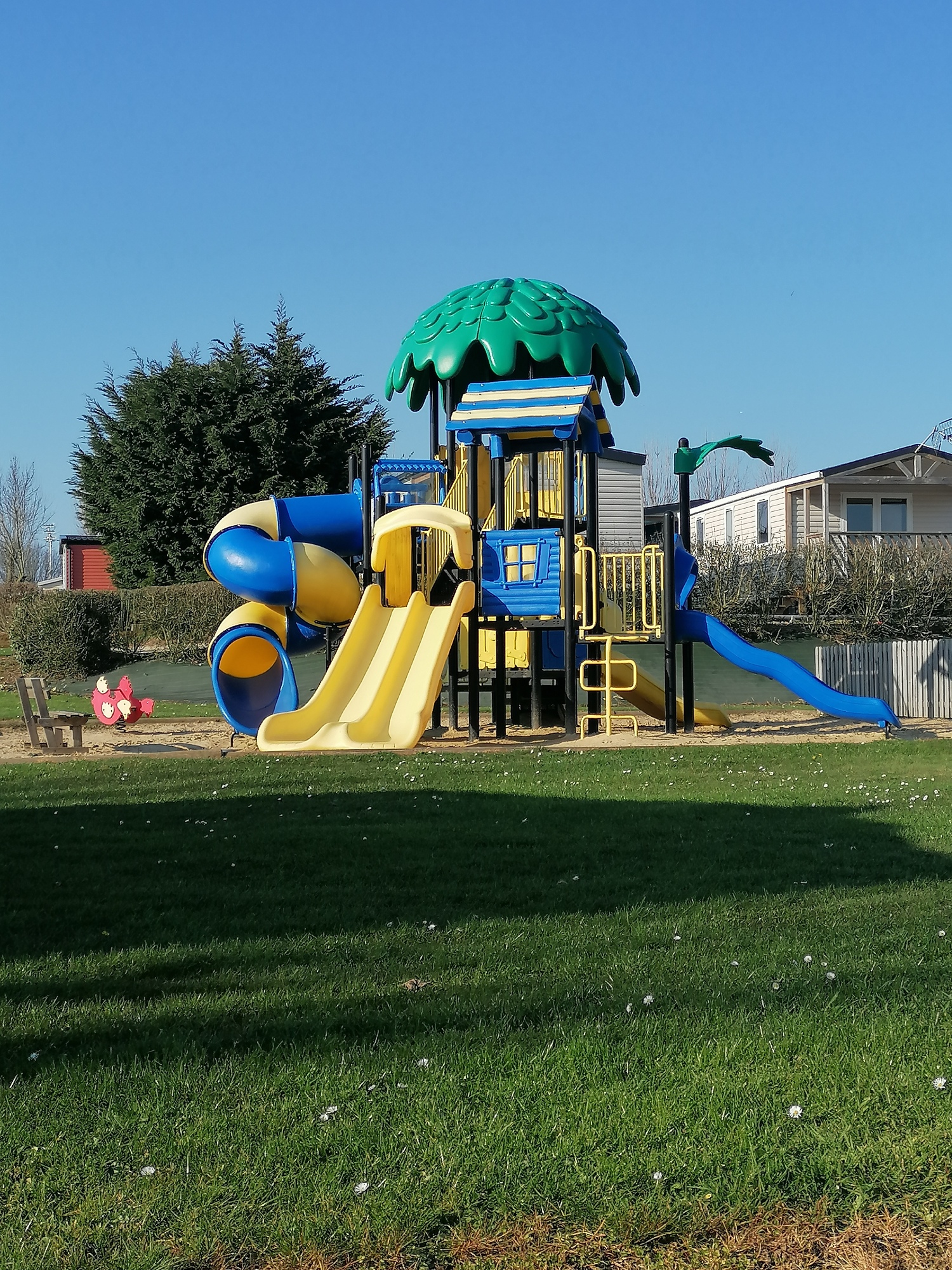 Flower Camping Vitamin