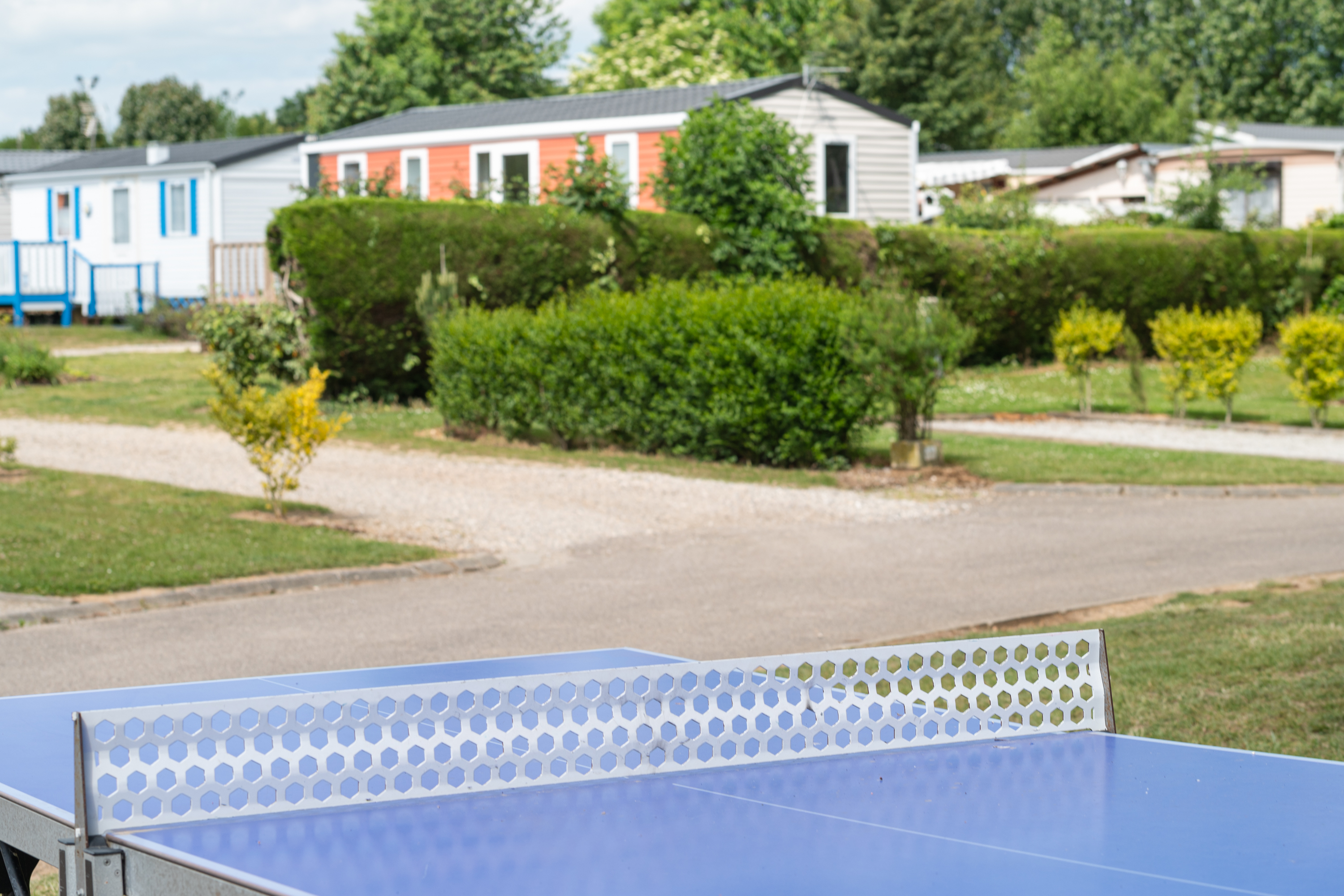 Flower Camping Vitamin