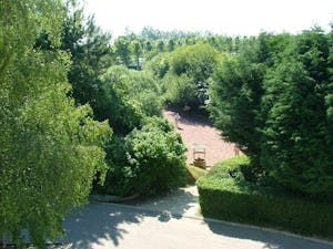 Flower Camping Vitamin - Luftaufnahme des Campingplatzes