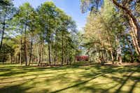 Camping Vitrūna - Campingplatz im Schatten der Bäume